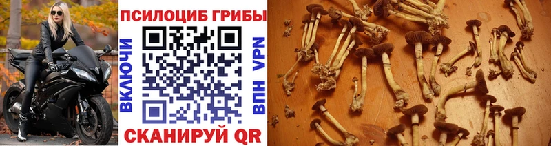 Псилоцибиновые грибы мухоморы Крымск