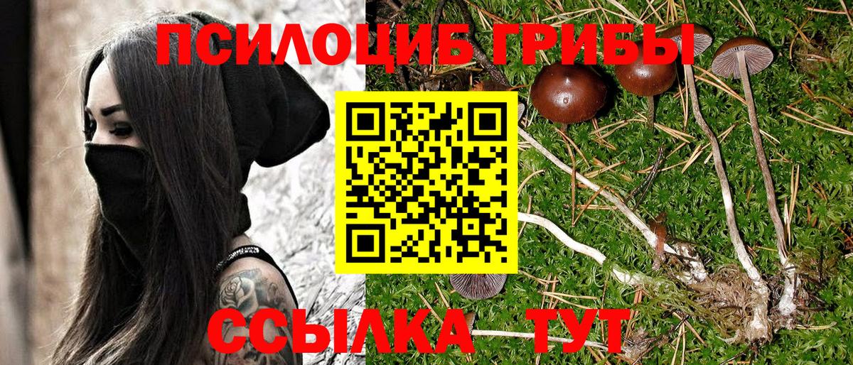 Крымск  Галлюциногенные грибы прущие грибы  где купить наркоту  Галлюциногенные грибы мухоморы  Вход с VPN 