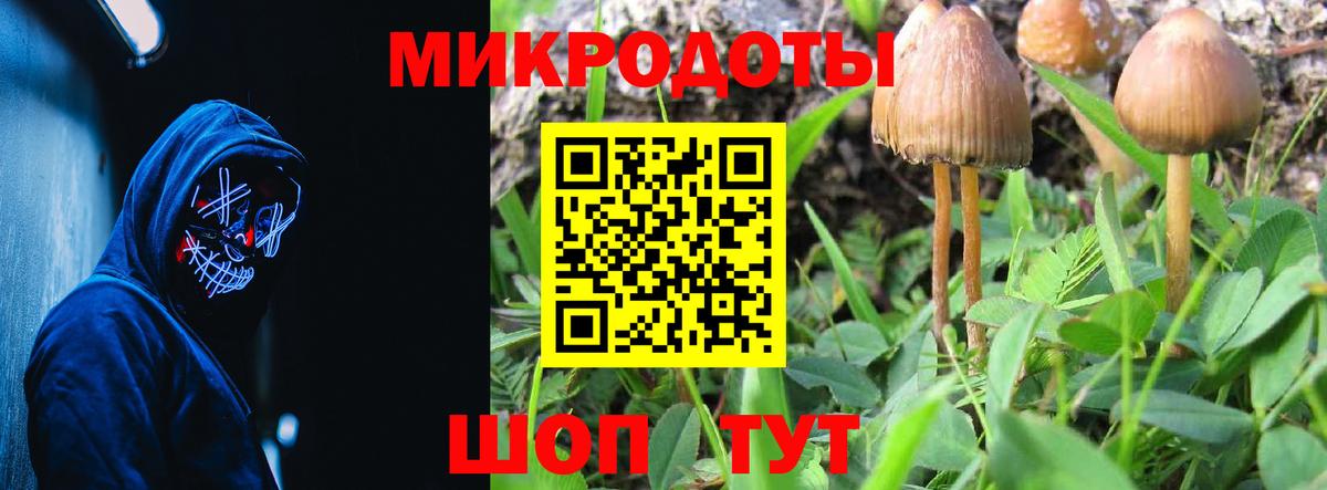 Псилоцибиновые грибы MAGIC MUSHROOMS Крымск